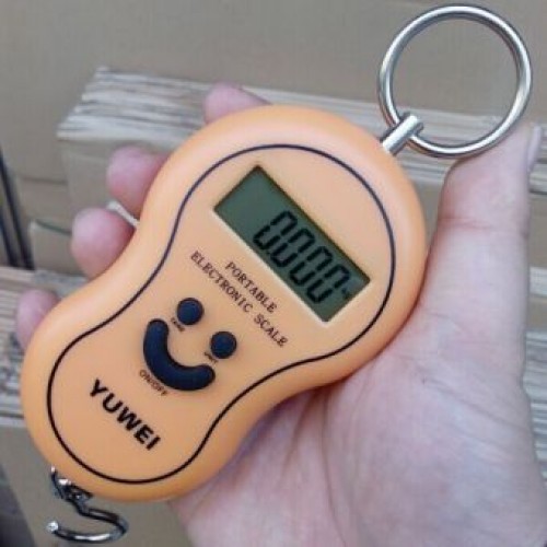 New Portable Electroni Hanging Scale YW-S001 